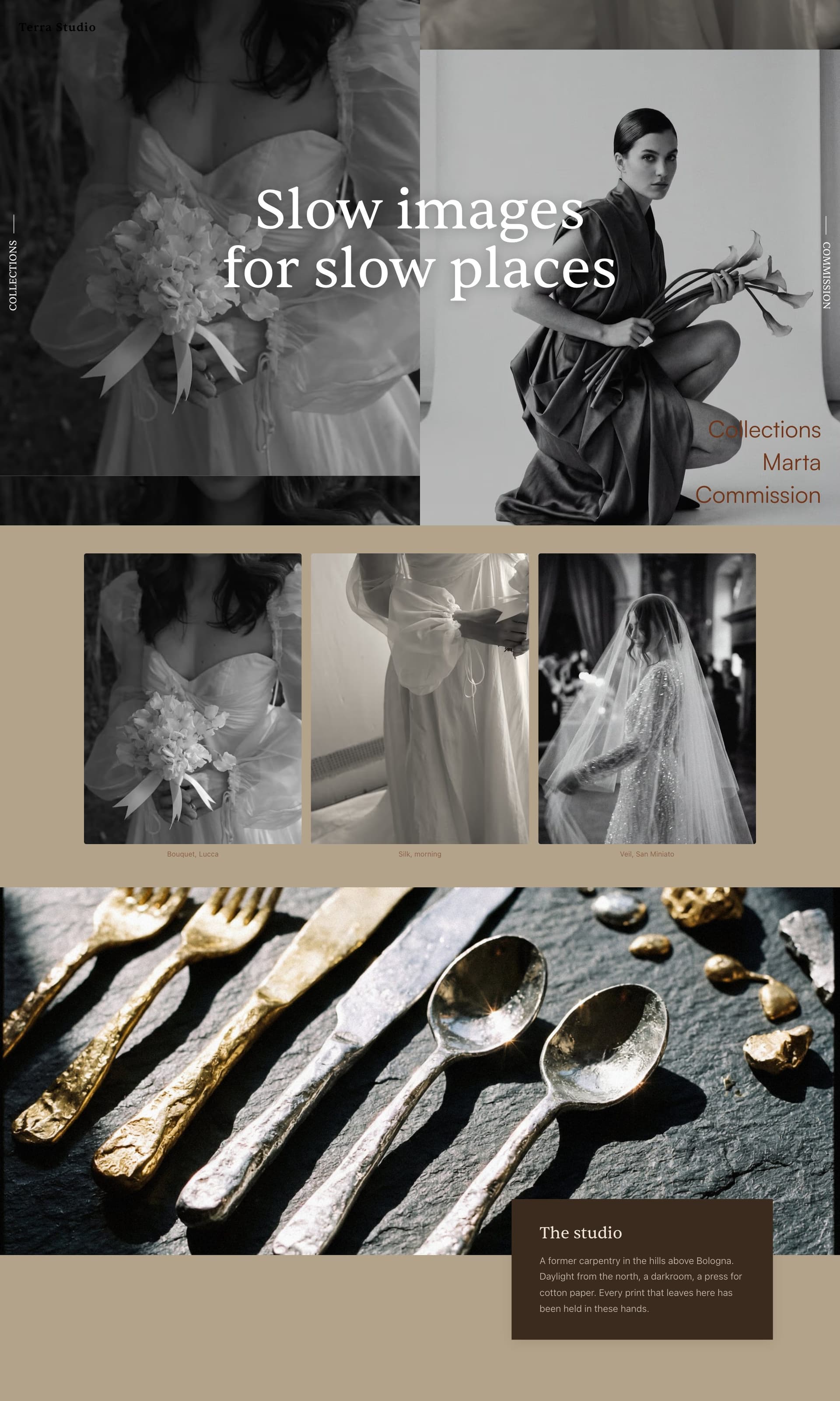 Example site by Terra Studio, built with the Mosaii.co builder